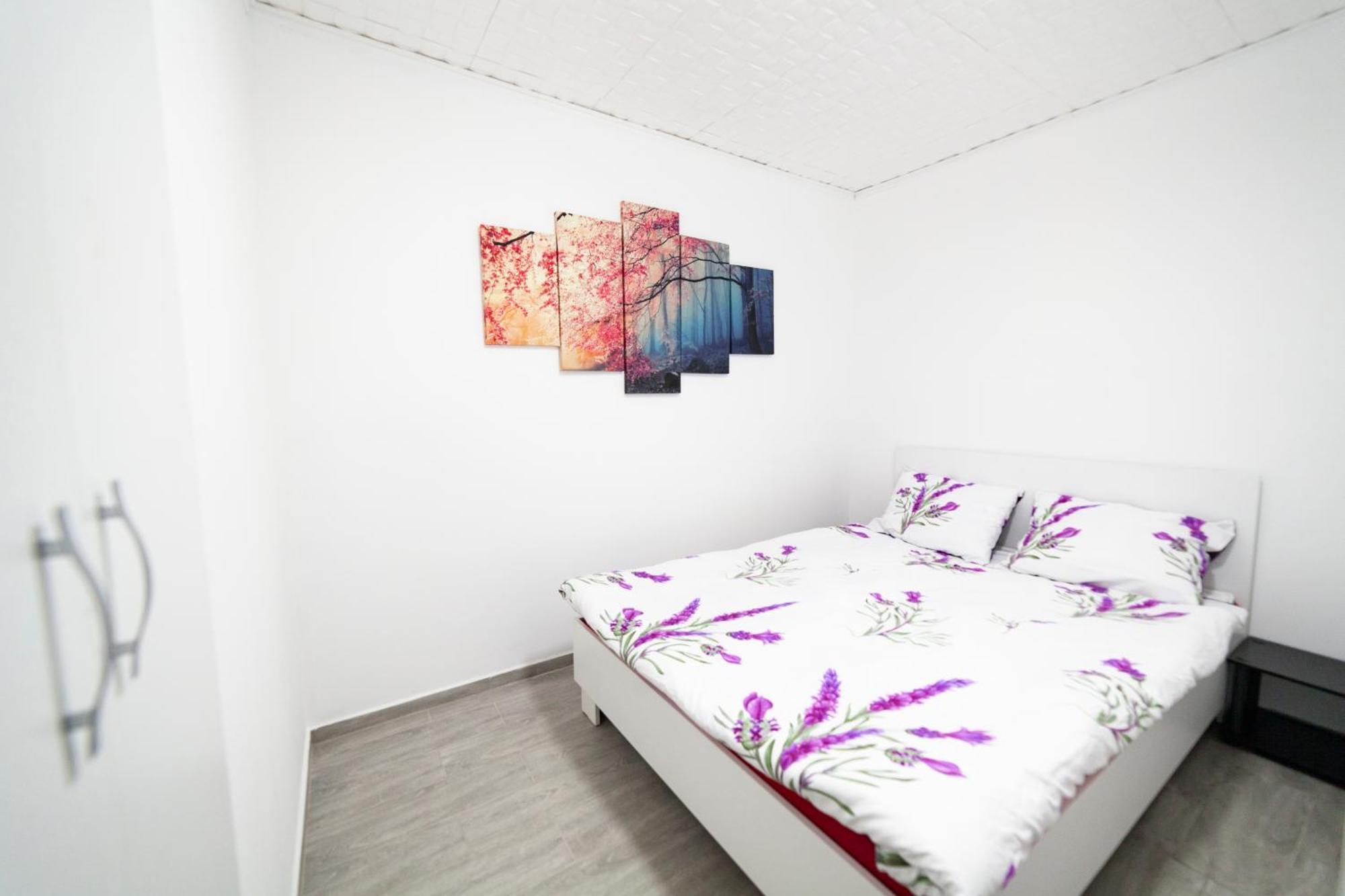 Arad City Center Comfortable Apartment Zewnętrze zdjęcie